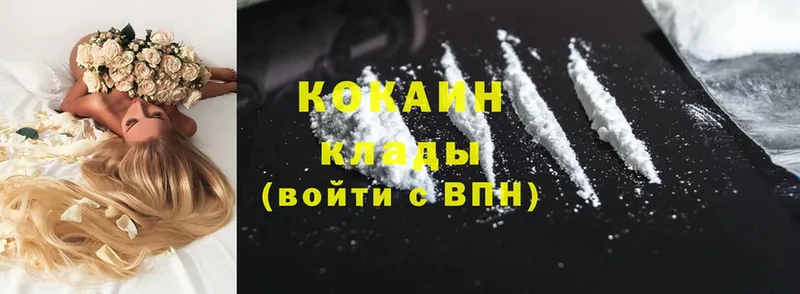 продажа наркотиков  Волгореченск  сайты даркнета официальный сайт  Cocaine 98% 