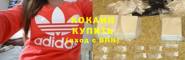 гидра Богородск
