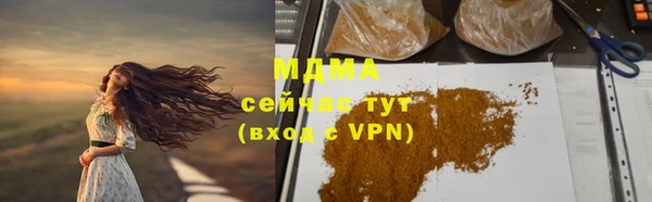 гидра Богородск