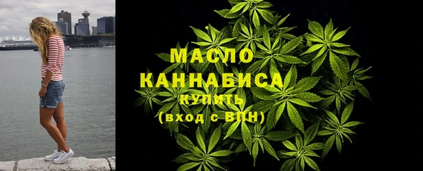 гидра Богородск