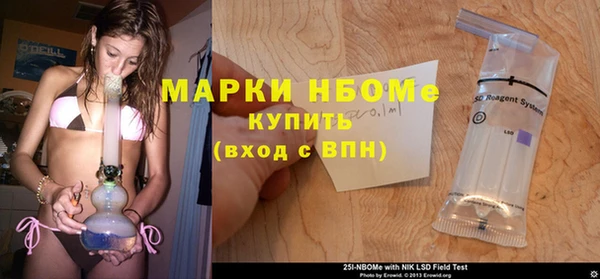 гидра Богородск