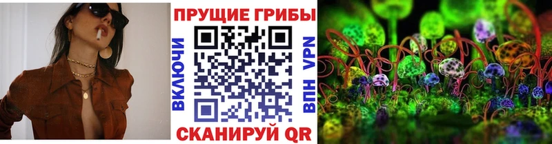 Галлюциногенные грибы Magic Shrooms закладка Волгореченск